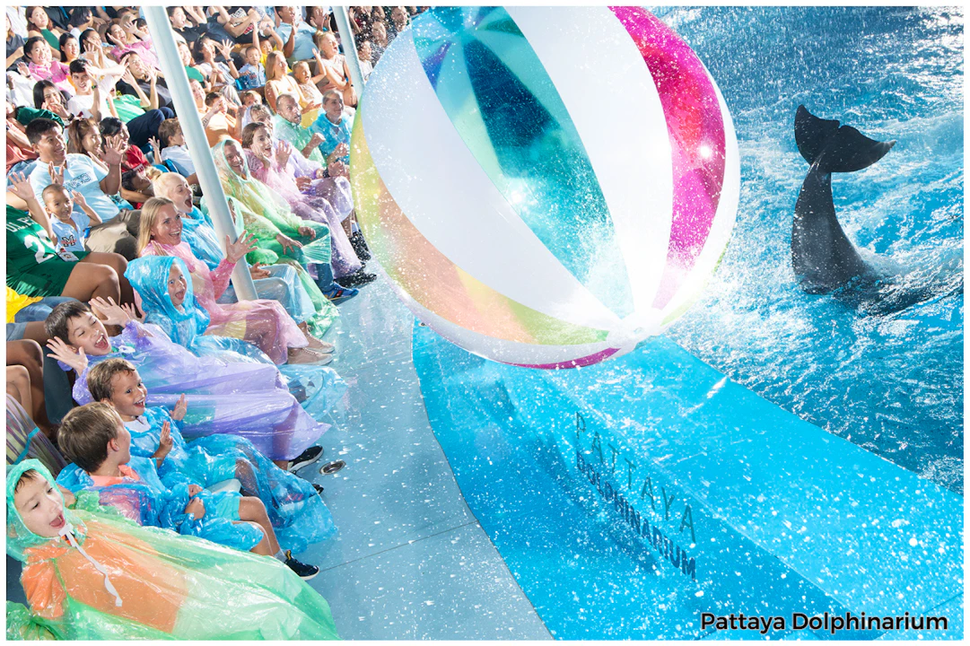 Dolphinarium Pattaya Swimming Tickets